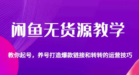 闲鱼无货源教学，教你起号，养号打造爆款链接以及转转的运营技巧-创业资源库