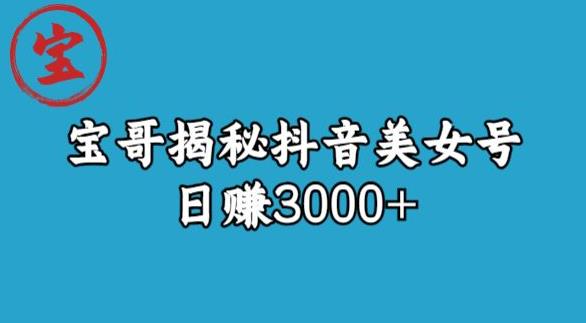 宝哥揭秘抖音美女号玩法，日赚3000+【揭秘】-创业资源库