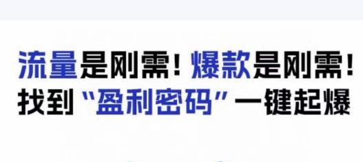 电商盈利精品课：6大盈利密码让产品更好卖，流量是刚需！爆款是刚需！找到”盈利密码”一键起爆-创业资源库