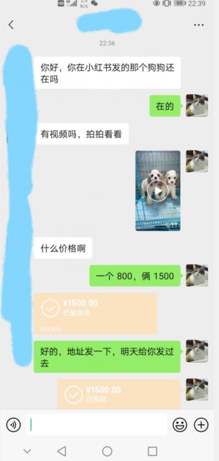 外边收费3980的同城萌宠项目，用最冷门的玩法冲击最热门的市场【揭秘】-创业资源库