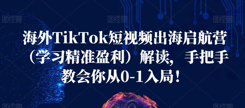海外TikTok短视频出海启航营（学习精准盈利）解读，手把手教会你从0-1入局！-创业资源库