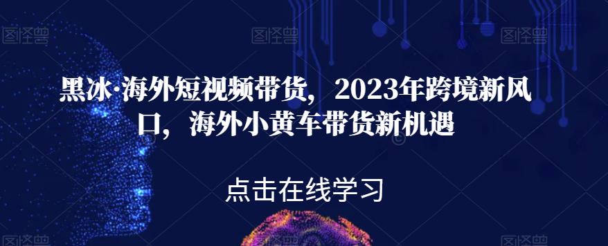 黑冰·海外短视频带货，2023年跨境新风口，海外小黄车带货新机遇-创业资源库