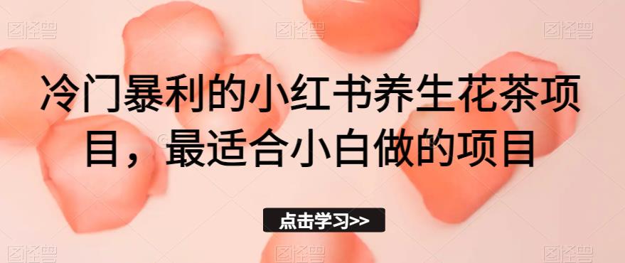 冷门暴利的小红书养生花茶项目，最适合小白做的项目【揭秘】-创业资源库