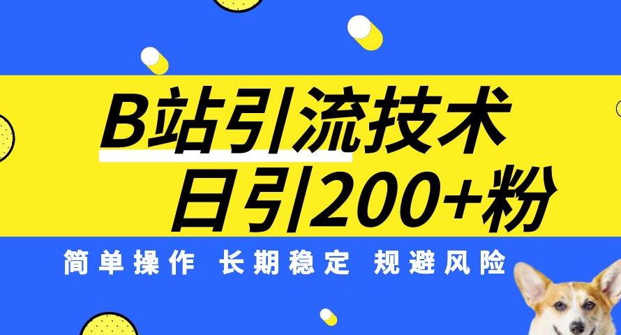 B站引流技术：每天引流200精准粉，简单操作，长期稳定，规避风险-创业资源库