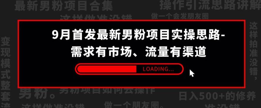 9月首发最新男粉项目实操思路-需求有市场，流量有渠道【揭秘】-创业资源库