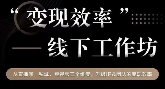 变现效率线下工作坊，从‮播直‬间、私域、‮视短‬频‮个三‬维度，升级IP和团队变现效率-创业资源库
