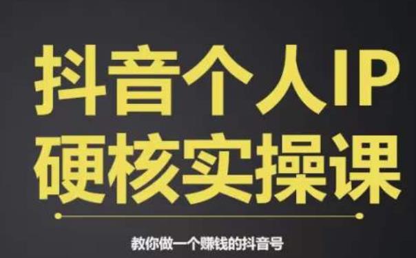 个人IP创富系统实战课，商业定位，流量打造，短视频变现，教你做个赚钱的抖音号-创业资源库