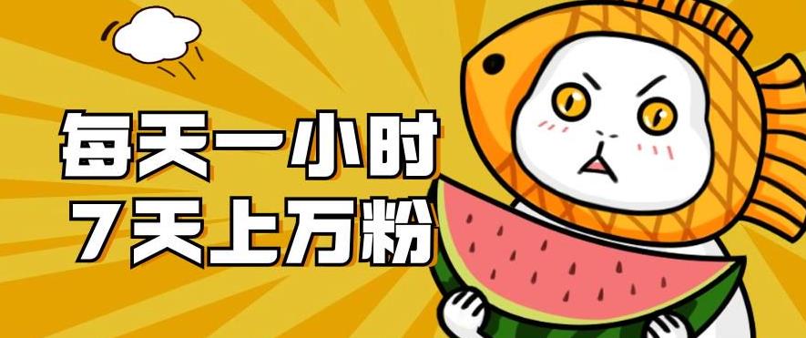 暴力涨粉项目：每天一小时，七天上万粉【揭秘】-创业资源库