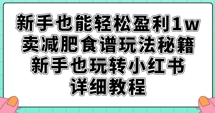 新手也能轻松盈利1w，卖减肥食谱玩法秘籍，新手也玩转小红书详细教程【揭秘】-创业资源库