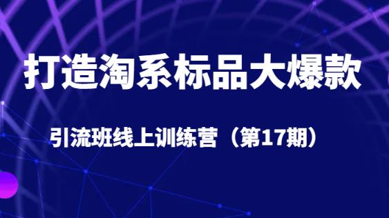 打造淘系标品大爆款引流班线上训练营（第17期）5天直播授课-创业资源库