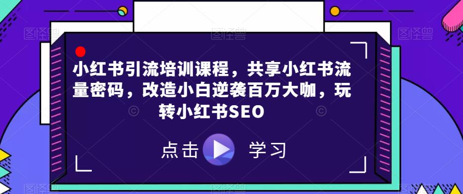 小红书引流培训课程，共享小红书流量密码，改造小白逆袭百万大咖，玩转小红书SEO-创业资源库