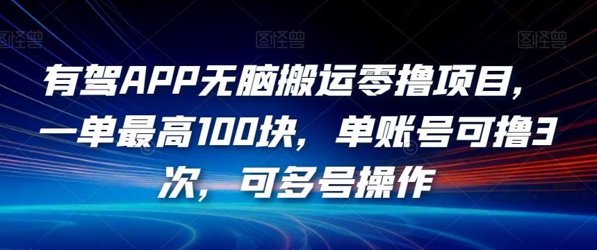 有驾APP无脑搬运零撸项目，一单最高100块，单账号可撸3次，可多号操作【揭秘】-创业资源库