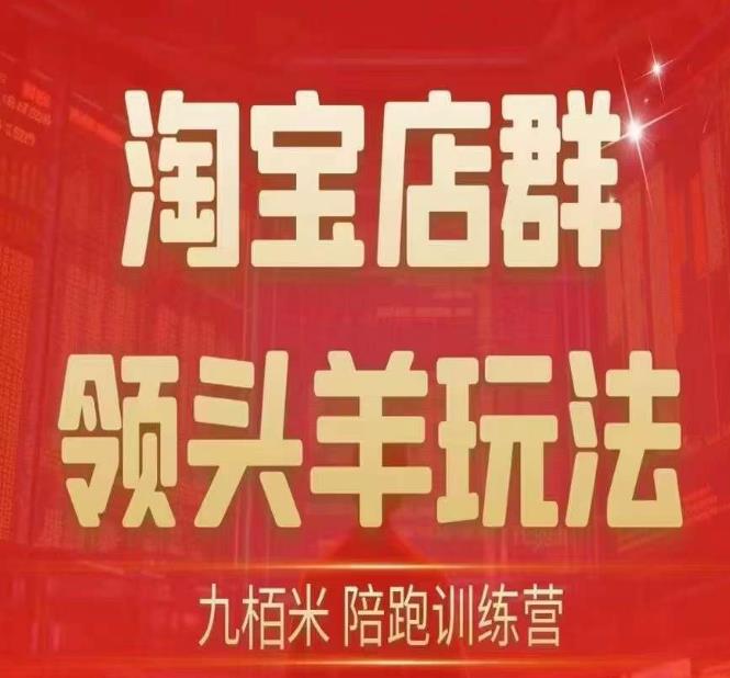 九栢米-淘宝店群领头羊玩法，教你整个淘宝店群领头羊玩法以及精细化/终极蓝海/尾销等内容-创业资源库