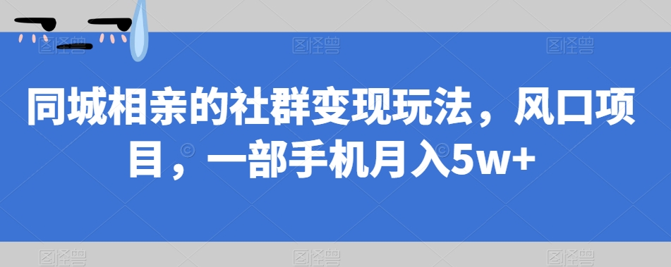 同城相亲的社群变现玩法，风口项目，一部手机月入5w+【揭秘】-创业资源库
