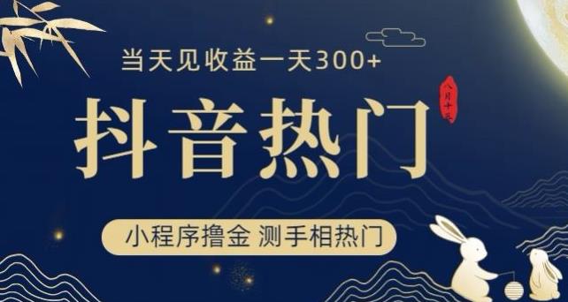 抖音最新小程序撸金，测手相上热门，当天见收益一小时变现300+【揭秘】-创业资源库