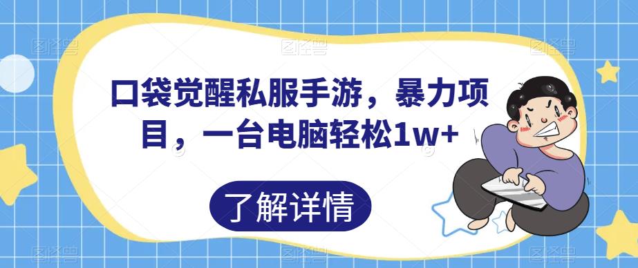 口袋觉醒私服手游，暴力项目，一台电脑轻松1w+【揭秘】-创业资源库