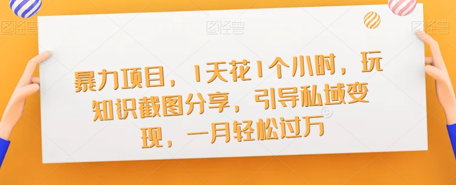 暴力项目，1天花1个小时，玩知识截图分享，引导私域变现，一月轻松过万【截图】-创业资源库
