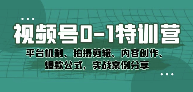 视频号0-1特训营：平台机制、拍摄剪辑、内容创作、爆款公式，实战案例分享-创业资源库