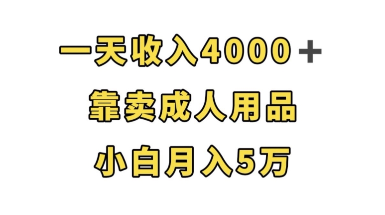 一天收入4000+，靠卖成人用品，小白轻松月入5万【揭秘】-创业资源库