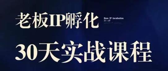 诸葛·2023老板IP实战课，实体同城引流获客，IP孵化必听-创业资源库