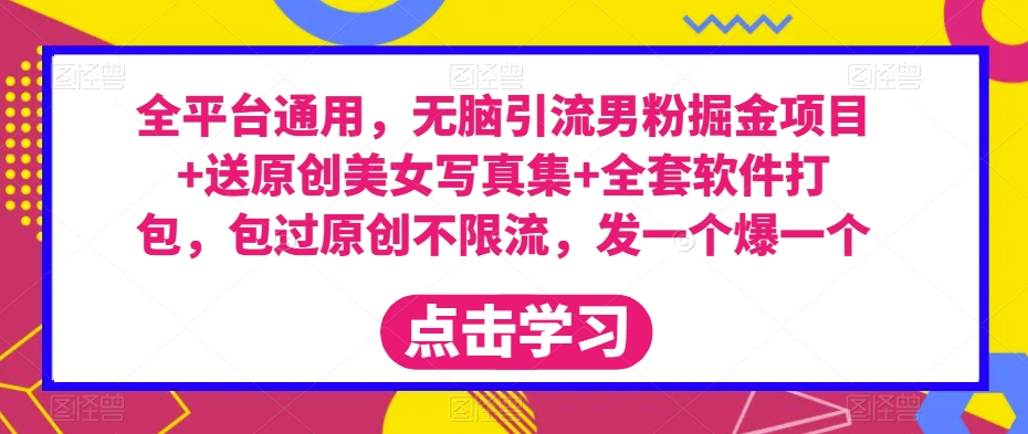 全平台通用，无脑引流男粉掘金项目+送原创美女写真集+全套软件打包，包过原创不限流，发一个爆一个【揭秘】-创业资源库