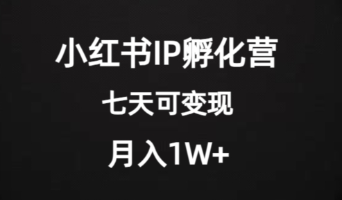 价值2000+的小红书IP孵化营项目，超级大蓝海，七天即可开始变现，稳定月入1W+-创业资源库