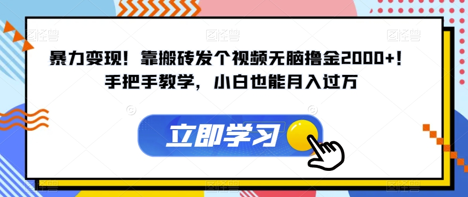 暴力变现！靠搬砖发个视频无脑撸金2000+！手把手教学，小白也能月入过万【揭秘】-创业资源库