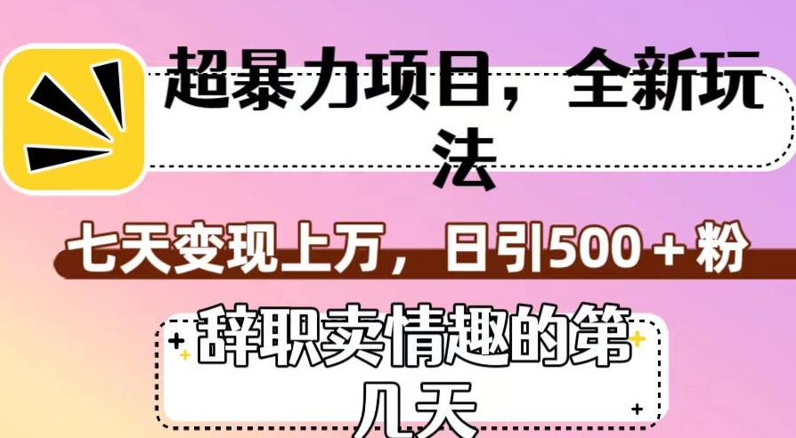 超暴利项目，全新玩法（辞职卖情趣的第几天），七天变现上万，日引500+粉【揭秘】-创业资源库