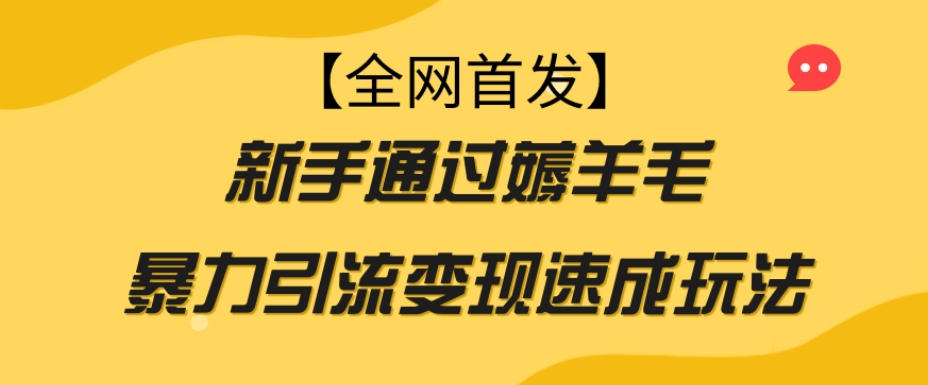 【全网首发】新手通过薅羊毛暴力引流变现速成玩法-创业资源库