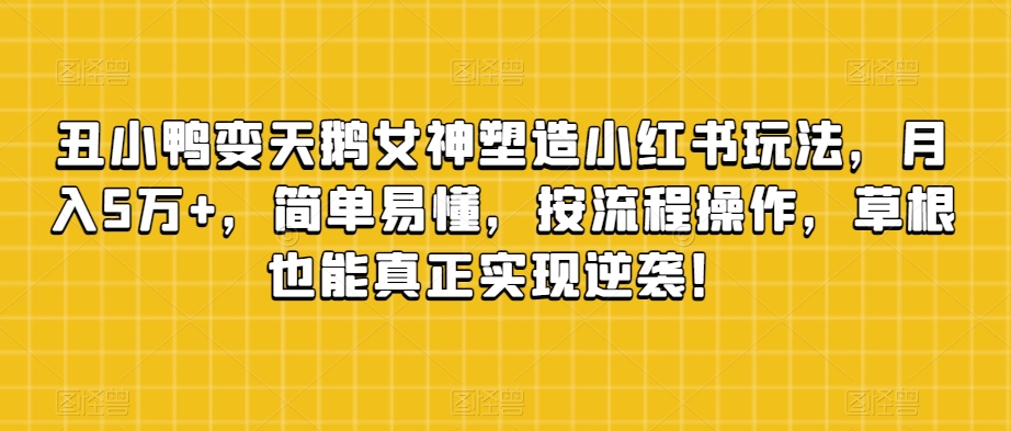 丑小鸭变天鹅女神塑造小红书玩法，月入5万+，简单易懂，按流程操作，草根也能真正实现逆袭！-创业资源库