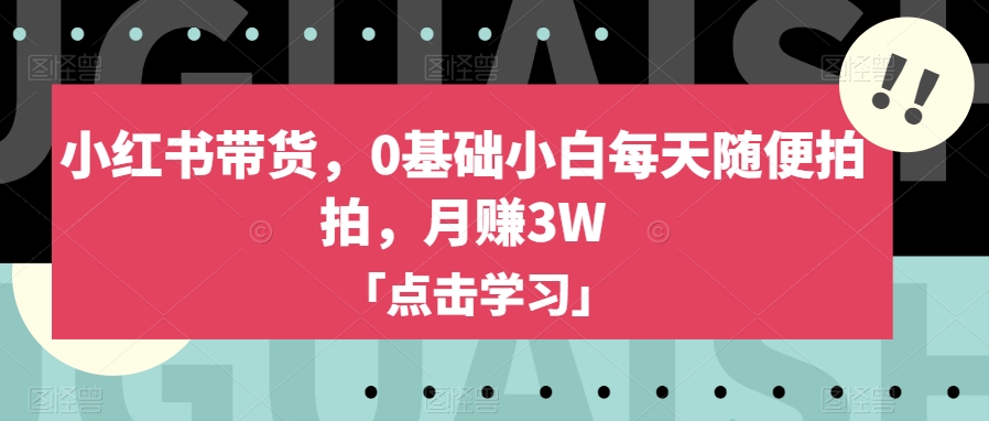 小红书带货，0基础小白每天随便拍拍，月赚3W【揭秘】-创业资源库