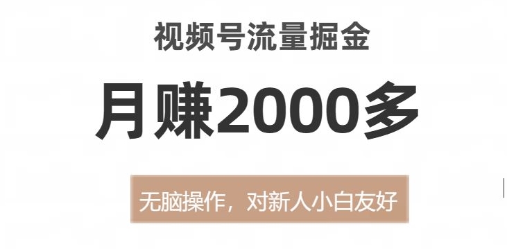 视频号流量掘金，无脑操作，对新人小白友好，月赚2000多【揭秘】-创业资源库