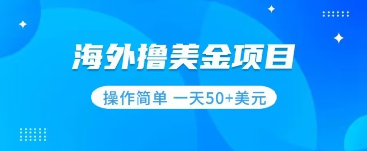 撸美金项目无门槛操作简单小白一天50+美刀-创业资源库