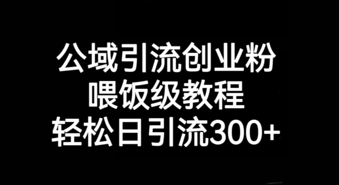 公域引流创业粉，喂饭级教程，轻松日引流300+【揭秘】-创业资源库
