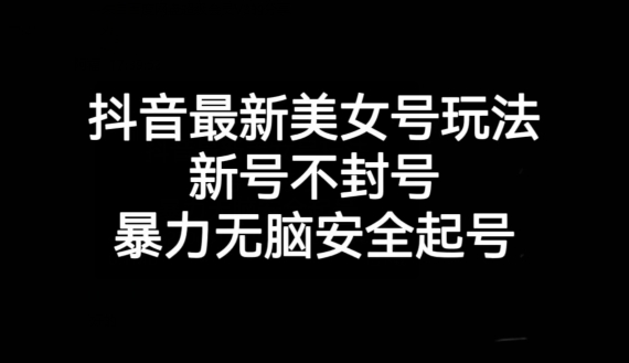 抖音最新美女号玩法，新号不封号，暴力无脑安全起号【揭秘】-创业资源库