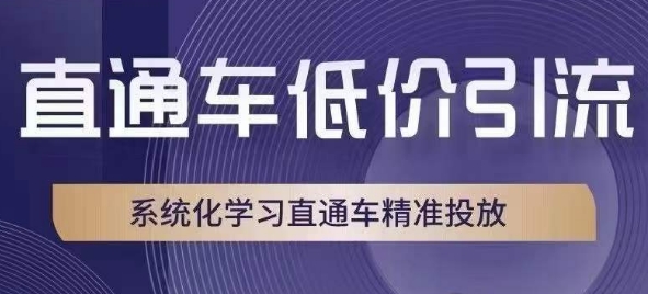 直通车低价引流课，系统化学习直通车精准投放-创业资源库