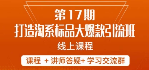 南掌柜-第17期打造淘系标品大爆款，5天线上课-创业资源库