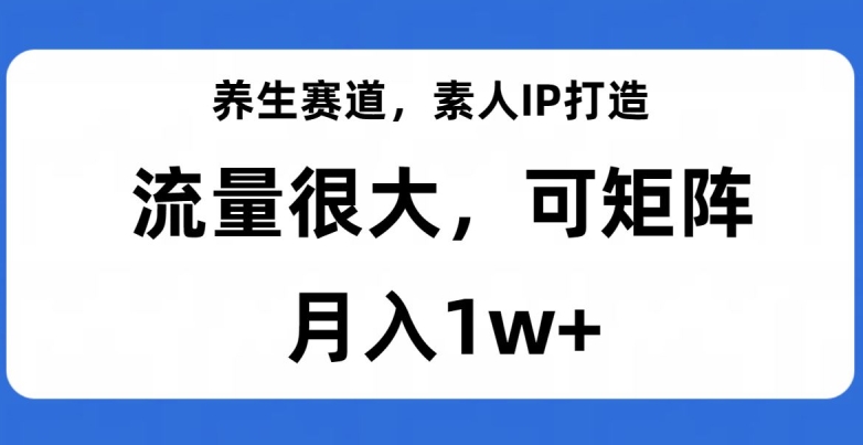 养生赛道，素人IP打造，流量很大，可矩阵，月入1w+【揭秘】-创业资源库