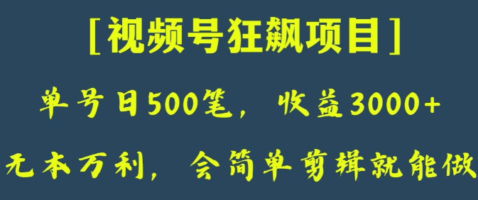 日收款500笔，纯利润3000+，视频号狂飙项目，会简单剪辑就能做【揭秘】-创业资源库