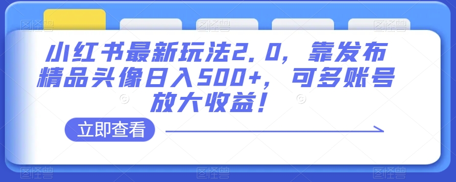小红书最新玩法2.0，靠发布精品头像日入500+，可多账号放大收益！【揭秘】-创业资源库
