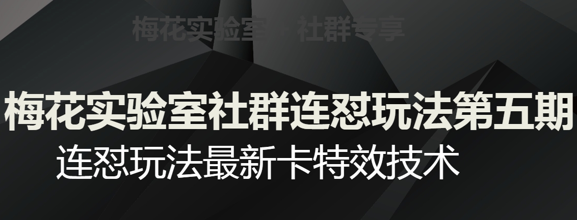 梅花实验室社群连怼玩法第五期，视频号连怼玩法最新卡特效技术-创业资源库