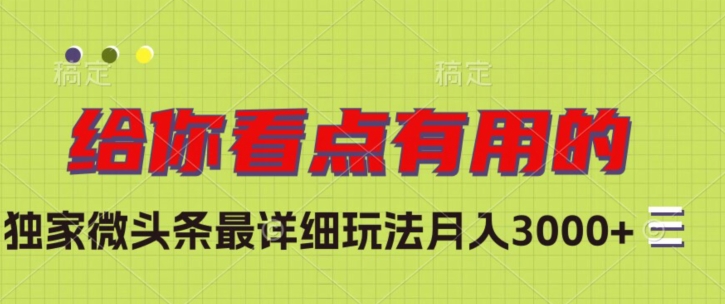 独家微头条最详细玩法，月入3000+【揭秘】-创业资源库