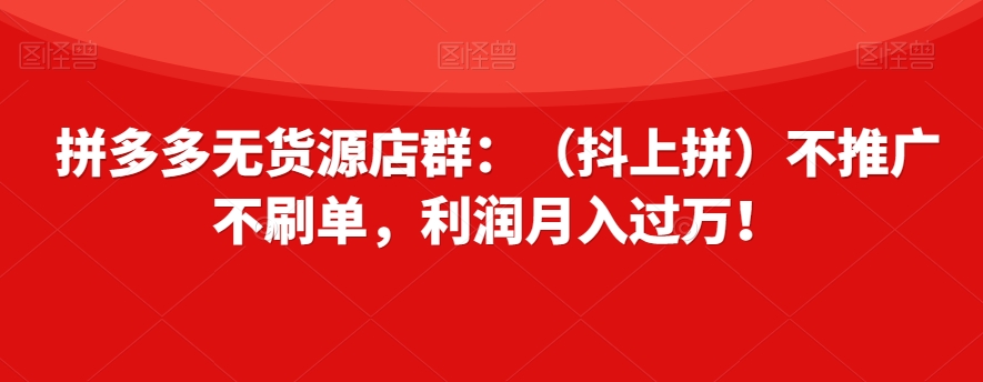 拼多多无货源店群：（抖上拼）不推广不刷单，利润月入过万！【揭秘】-创业资源库