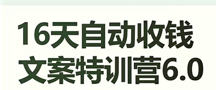 16天自动收钱文案特训营6.0，学会儿每天自动咔咔收钱-创业资源库