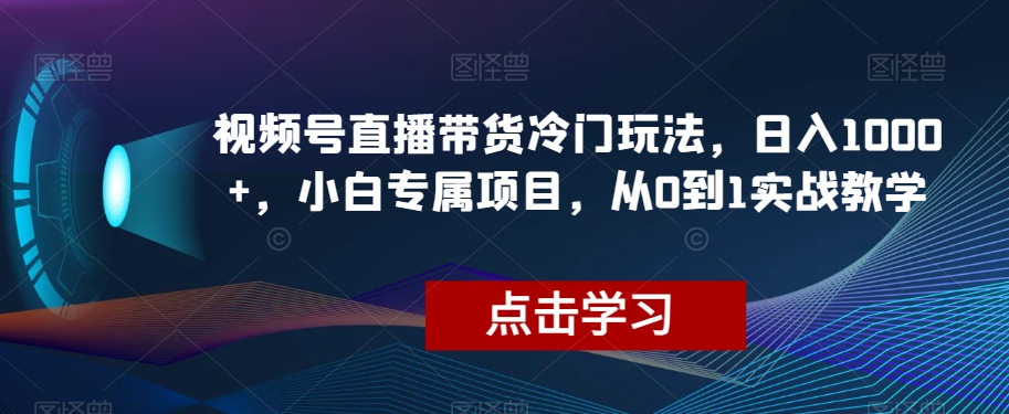 视频号直播带货冷门玩法，日入1000+，小白专属项目，从0到1实战教学【揭秘】-创业资源库