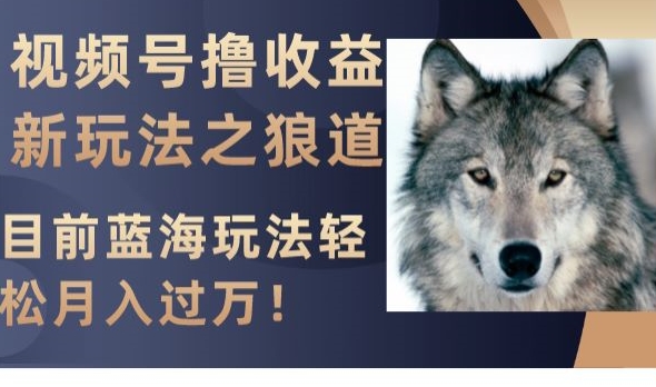 视频号撸收益新玩法之狼道，目前蓝海玩法，轻松月入过万【揭秘】-创业资源库