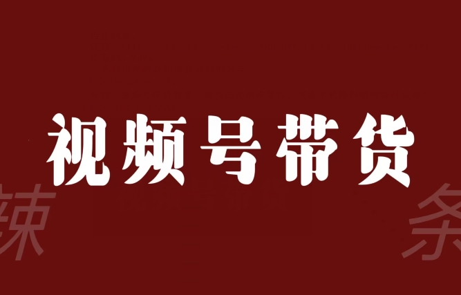 视频号带货联盟，赚信息差的带货钱，只需手机随时随地都可以做！-创业资源库