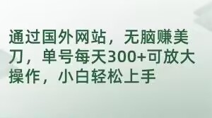 通过国外网站，无脑赚美刀，单号每天300+可放大操作，小白轻松上手【揭秘】-创业资源库