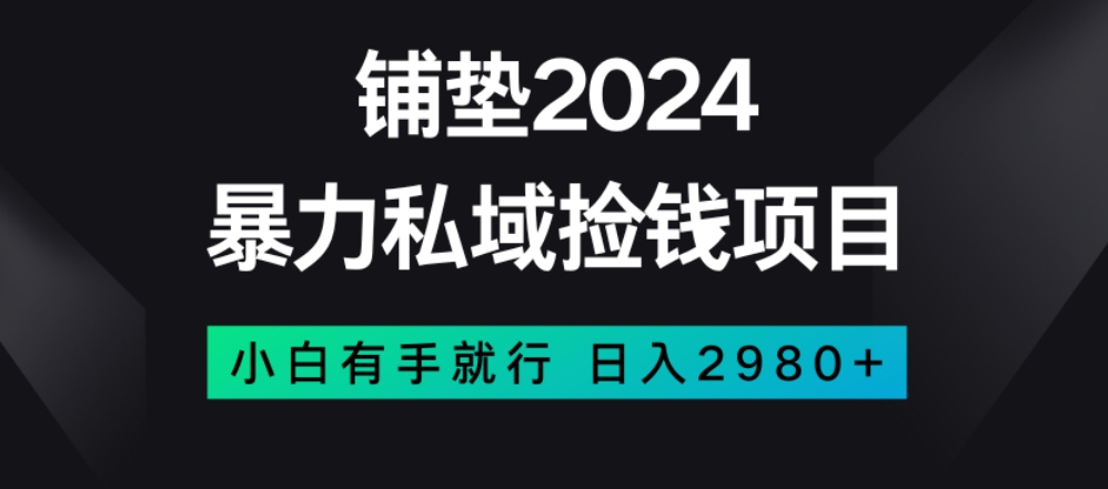 暴力私域捡钱项目，小白无脑操作，日入2980【揭秘】-创业资源库
