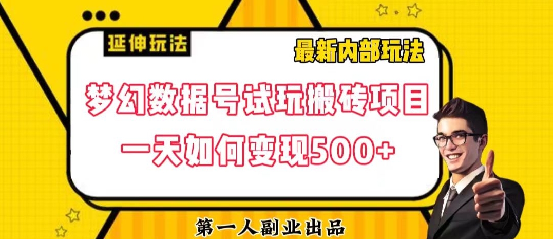 数据号回归玩法游戏试玩搬砖项目再创日入500+【揭秘】-创业资源库
